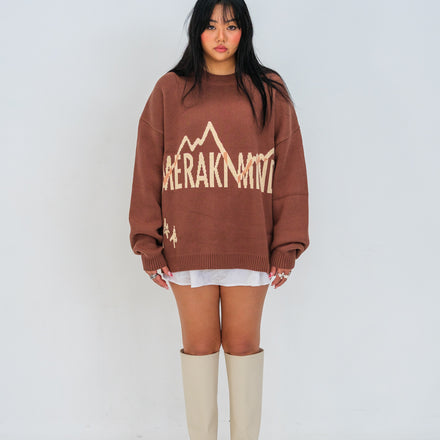 BROWN KNIT SWEATER